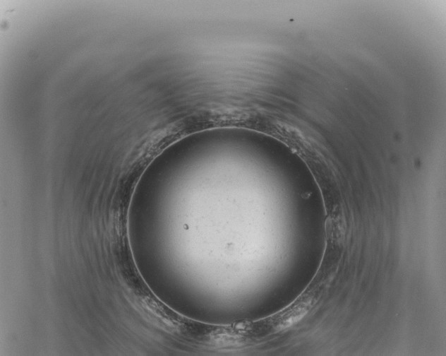 X0000061760756200512091701