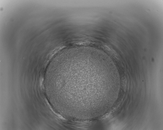 X0000061760757200512091701