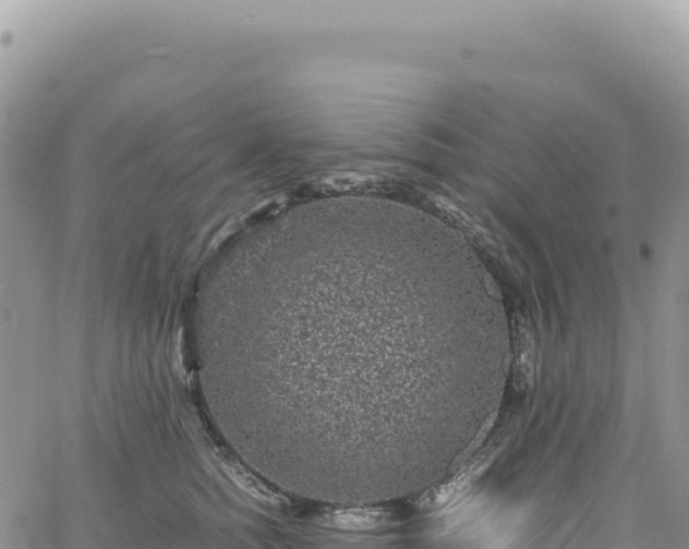 X0000061760758200512091701