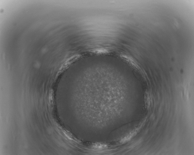 X0000061760760200512091701