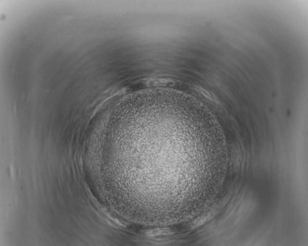 X0000061760761200512091701