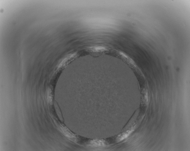 X0000061760762200512091701