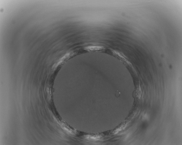 X0000061760763200512091701