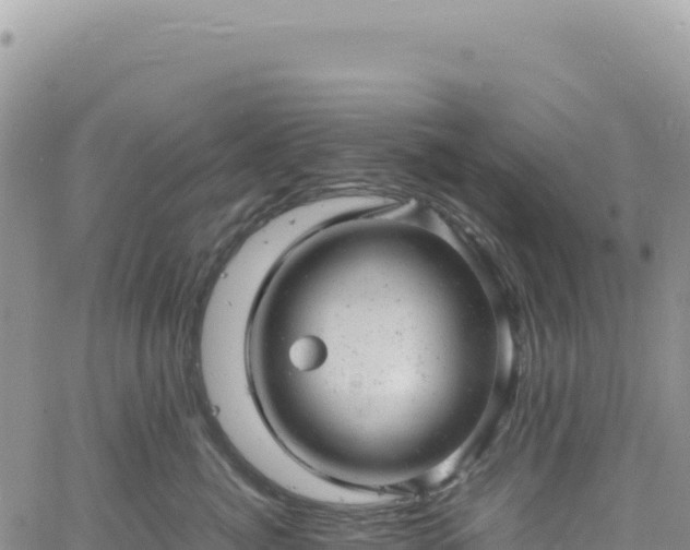 X0000061760764200512091701