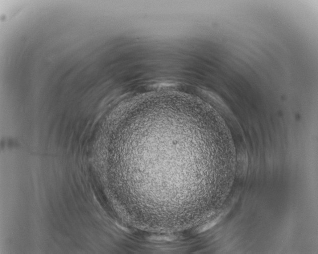 X0000061760765200512091701