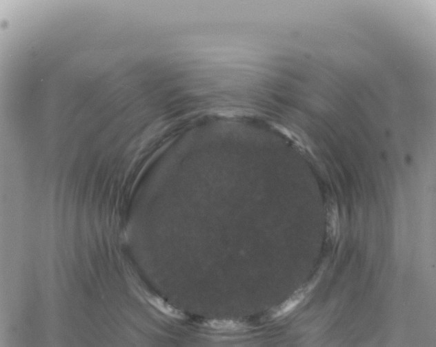 X0000061760766200512091701