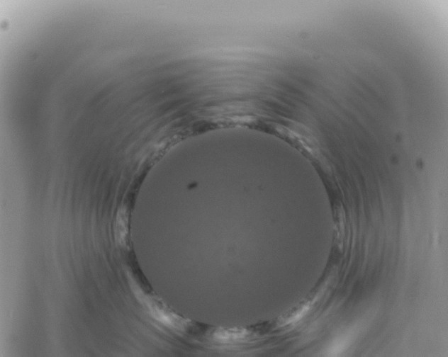 X0000061760767200512091701