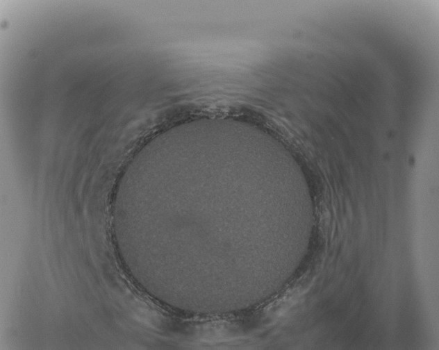 X0000061760769200512091700