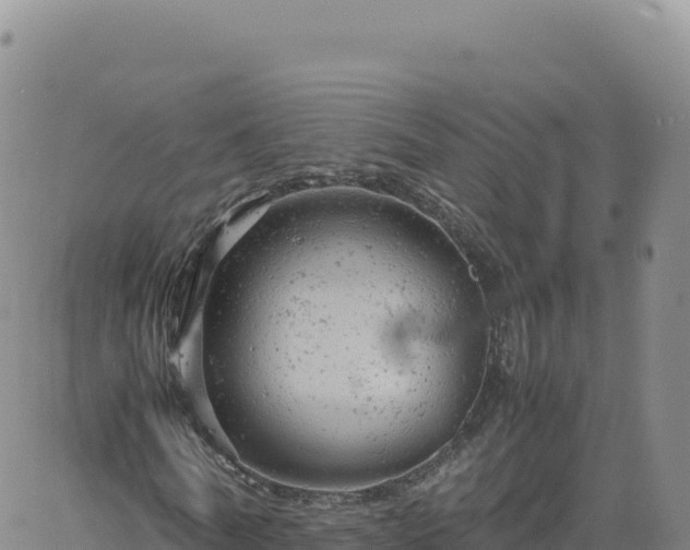 X0000061760770200512091700