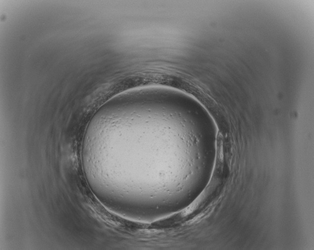 X0000061760771200512091700