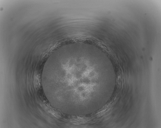 X0000061760772200512091700