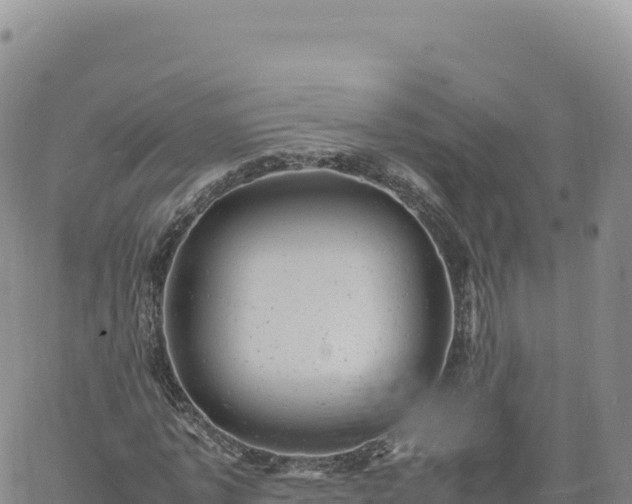 X0000061760773200512091700