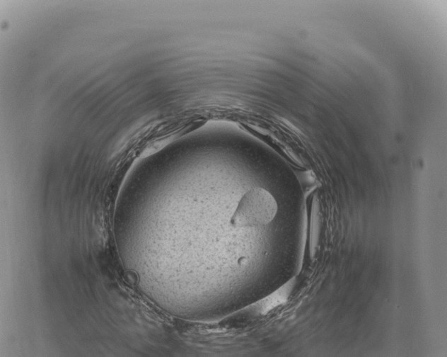 X0000061760774200512091700