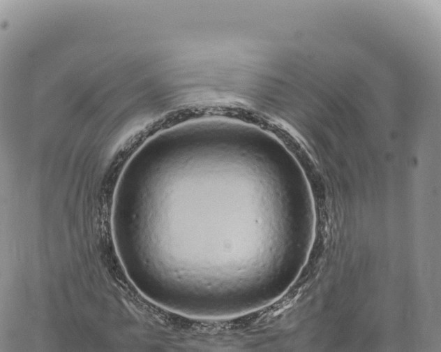 X0000061760775200512091700