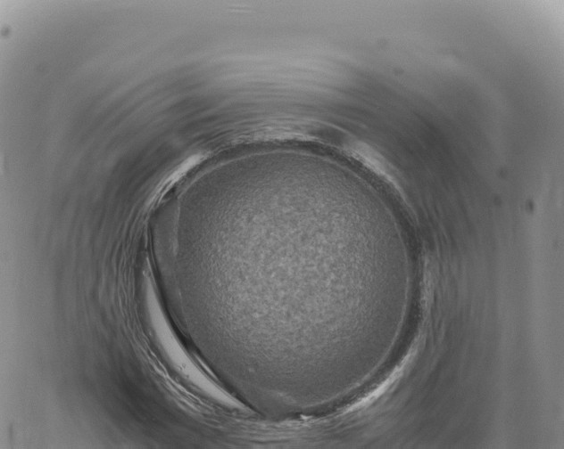 X0000061760777200512091700