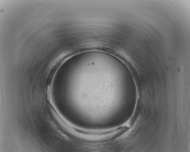 X0000061760778200512091700