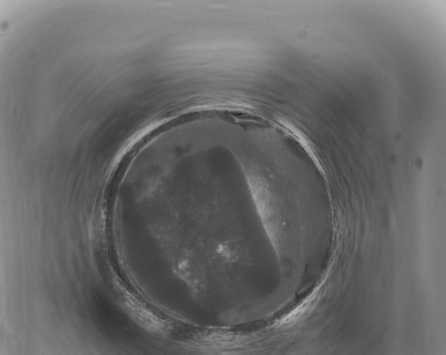 X0000061760779200512091700