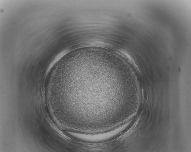 X0000061760780200512091700