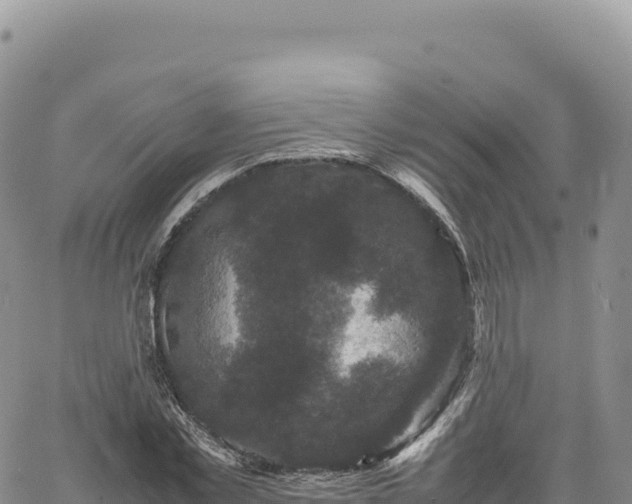 X0000061760781200512091700