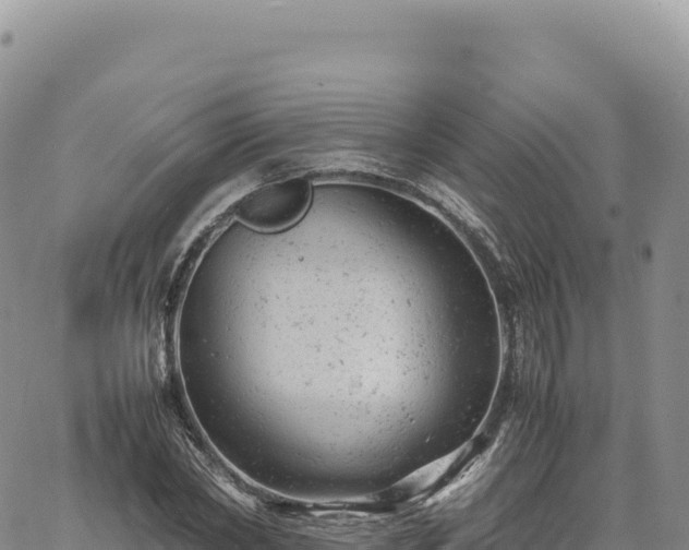 X0000061760782200512091700