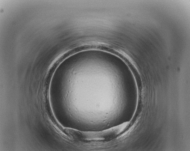 X0000061760783200512091700