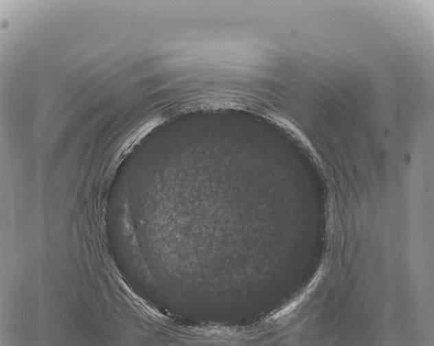 X0000061760785200512091700