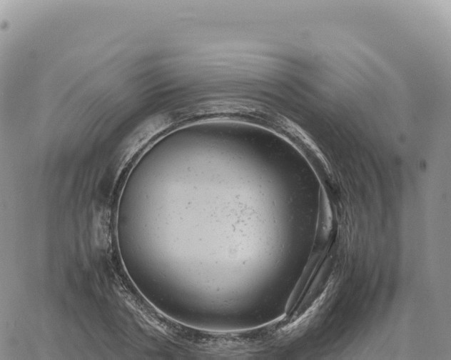 X0000061760786200512091700