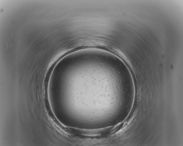 X0000061760787200512091700