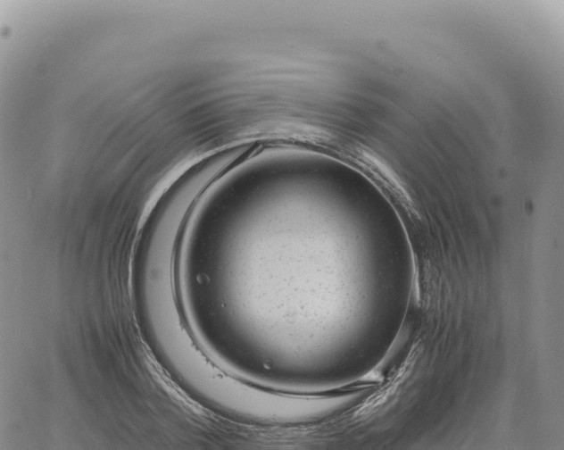 X0000061760788200512091700