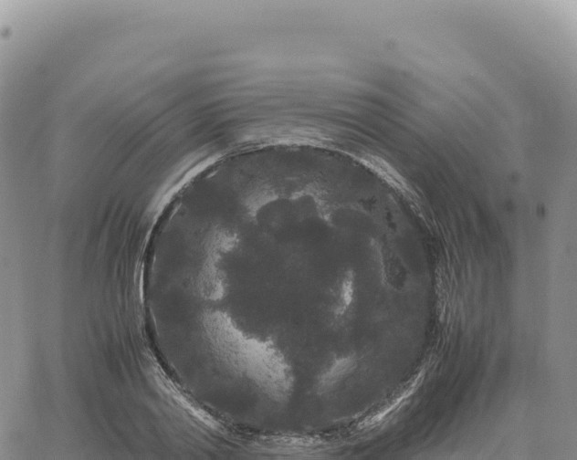 X0000061760790200512091700