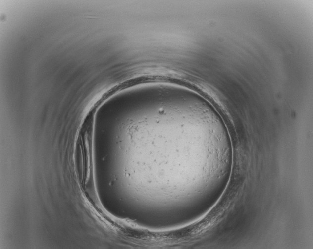 X0000061760791200512091700