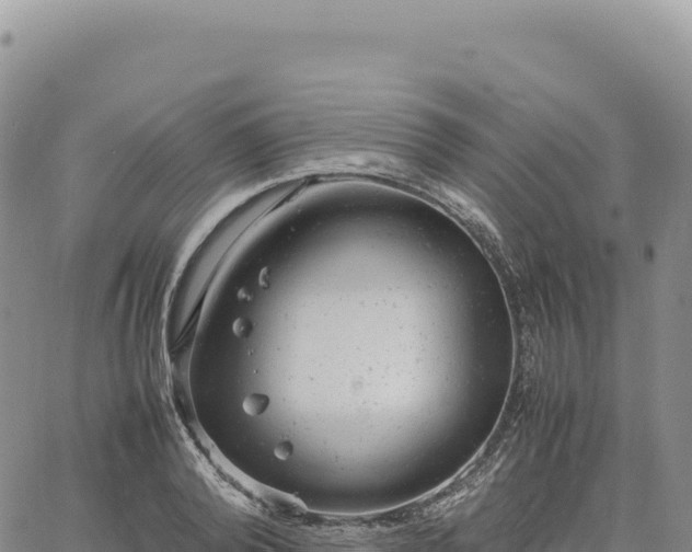 X0000061760792200512091700