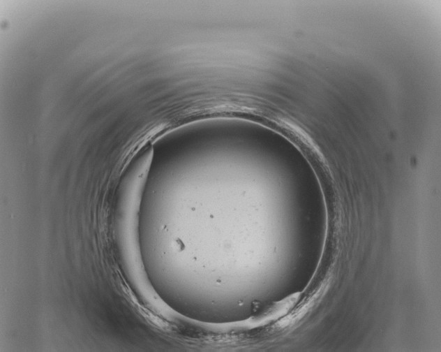 X0000061760793200512091700