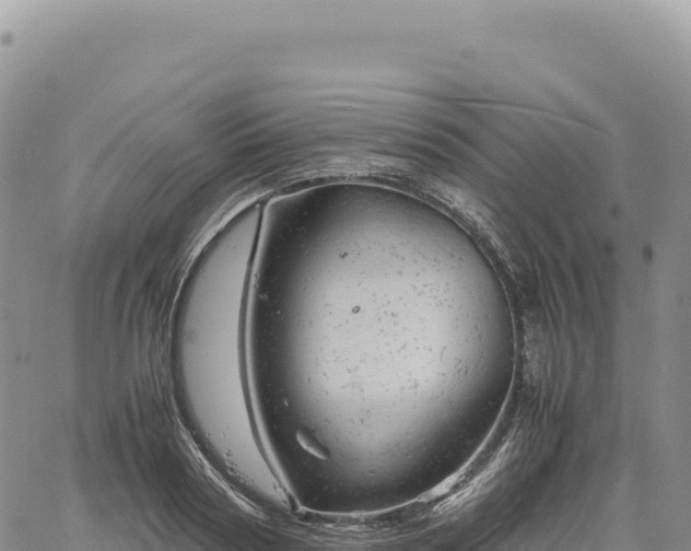 X0000061760794200512091700