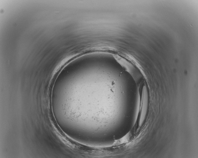 X0000061760795200512091700