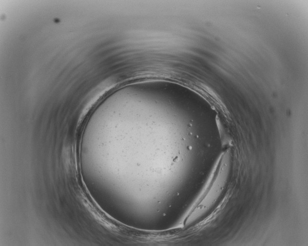 X0000061760796200512091700