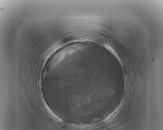 X0000061760797200512091700