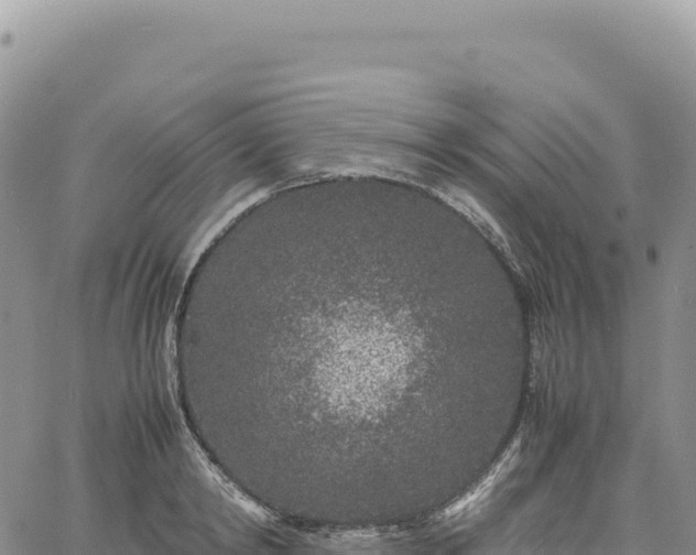 X0000061760798200512091700