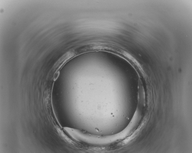 X0000061760801200512091700