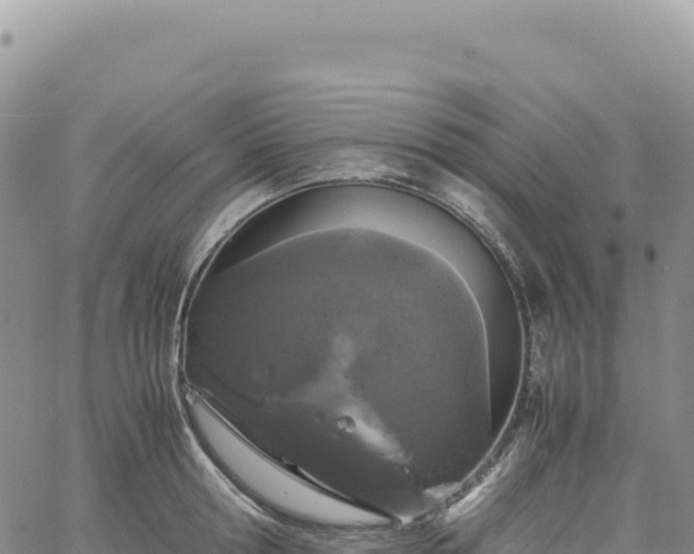 X0000061760802200512091700