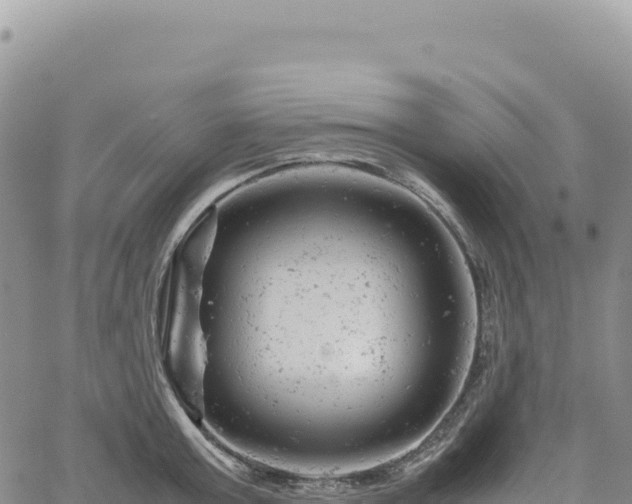 X0000061760803200512091700