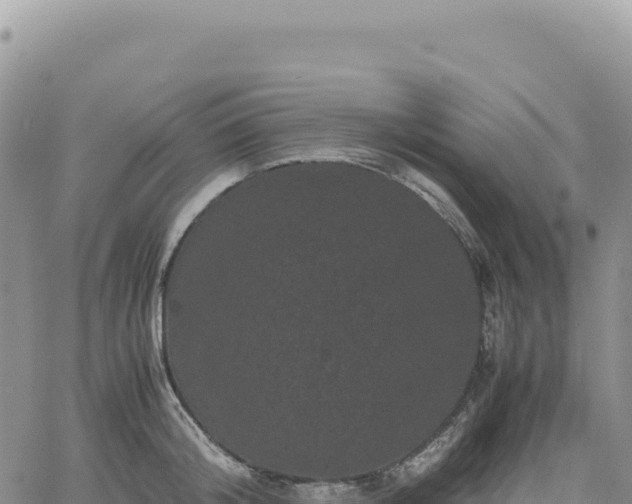 X0000061760804200512091700