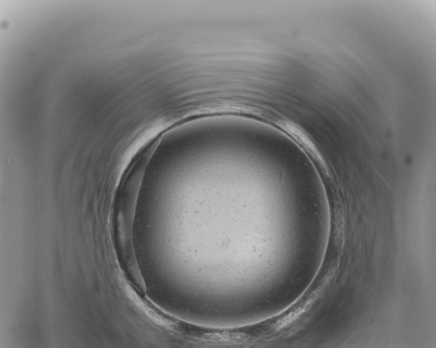 X0000061760805200512091659