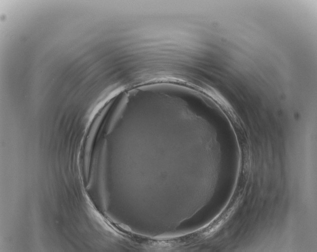 X0000061760806200512091659