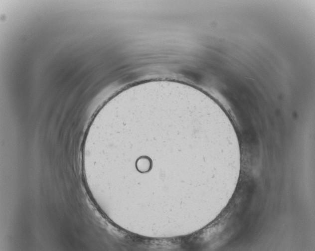 X0000061760807200512091659