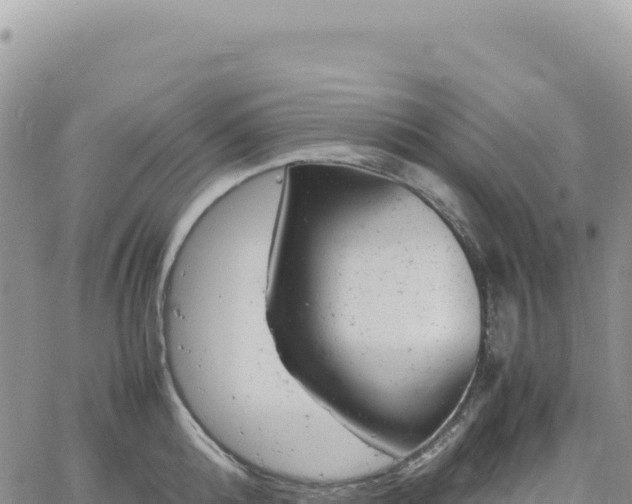 X0000061760808200512091659