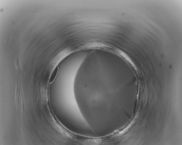 X0000061760810200512091659