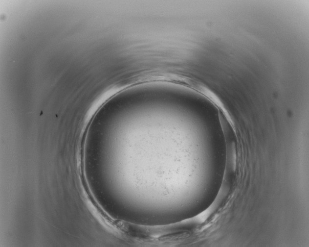 X0000061760811200512091659