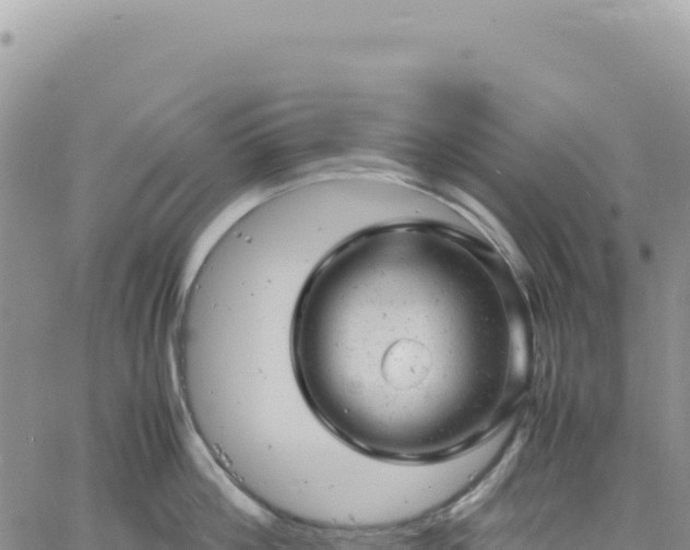 X0000061760812200512091659