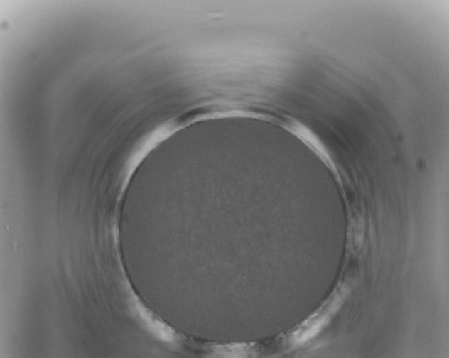 X0000061760813200512091659